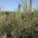arizona from other cameras - DSCF1608